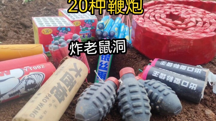 老鼠：老妈今晚吃饭别等我了