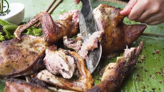 Trồng Cây, Gây Rừng - Vợ Nướng Vịt, Chồng Nhâm Nhi, Đời Giản Dị