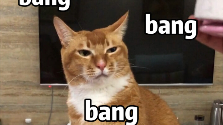 Không hổ là bạn