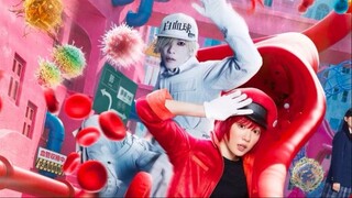 Cells at Work (2024) เซลล์ขยันพันธุ์เดือด