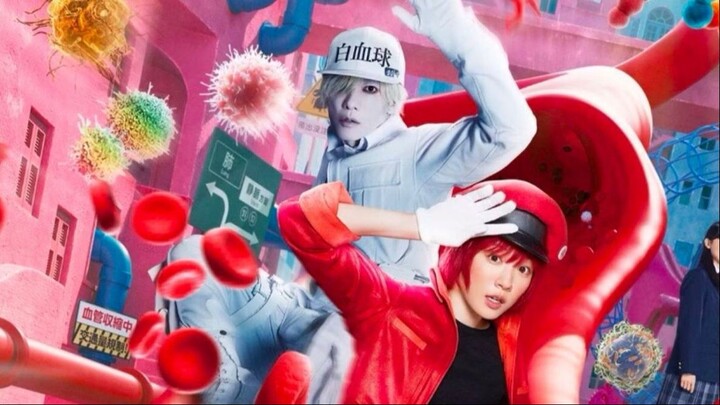 Cells at Work (2024) เซลล์ขยันพันธุ์เดือด