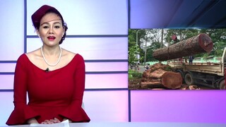 Những Vấn Đề Quanh Ta ngày 01 12 2021