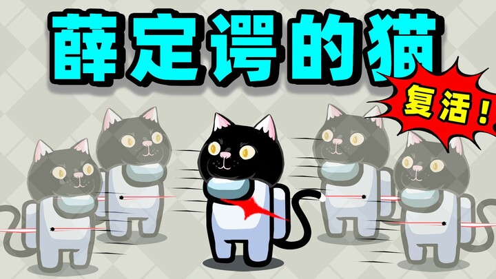“Kucing Pragmatis”