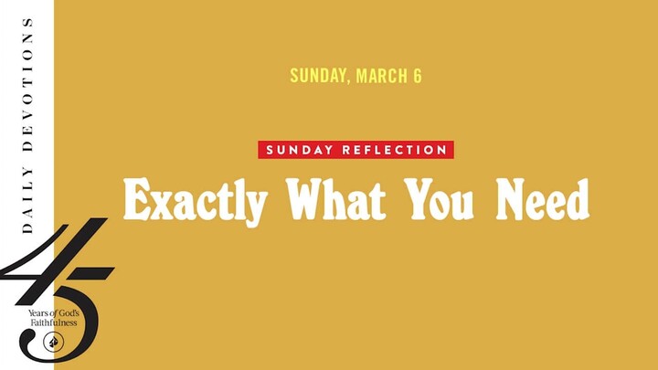 Sunday Reflection: Exactly What You Need – Daily Devotional