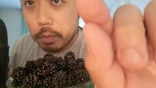 ASMR EATING ORGANIC BLACKBERRIES & AIR TRACING YOUR EYEBROWS AND EYEBROWS