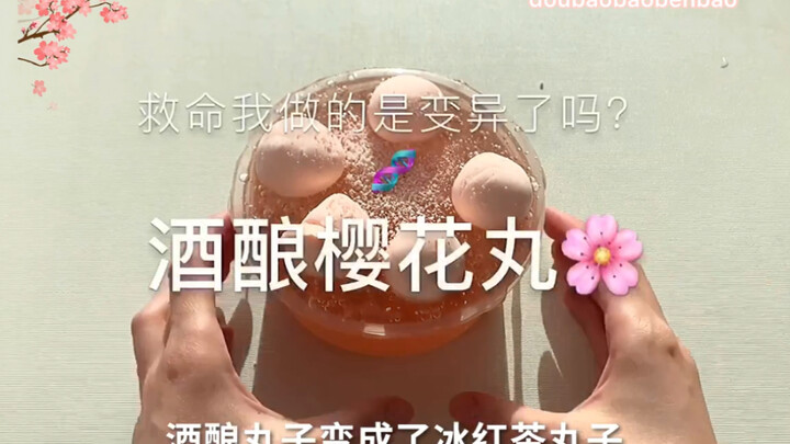 【酒酿樱花丸】泥泥变异了？发出来问问哈哈哈