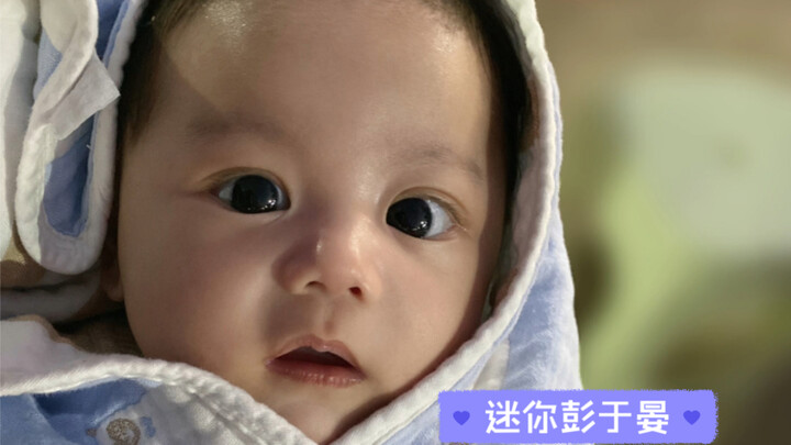 Katanya ini anak haram antara aku dan Peng Yuyan～Kok mirip banget sih