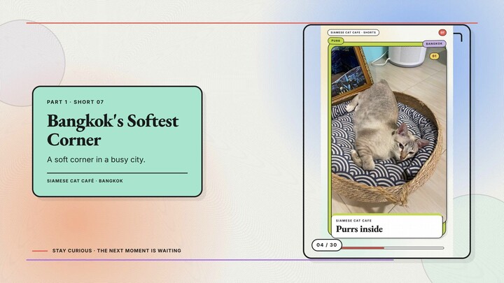 Siamese Cat Café #04 — Bangkok's Softest Corner + What Sixty Seconds Here Feels Like