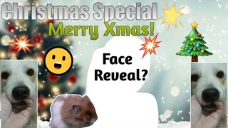 MERRY CHRISTMAS! (Christmas Special!) (Face reveal??)