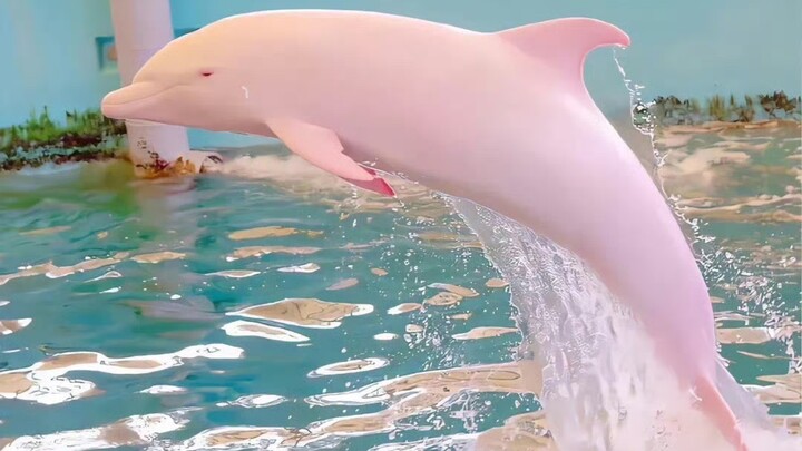 .★ug/Not for the faint of heart.☆Deeply felt/💦💦So many deaths/every touch sets them off 🐳🐳