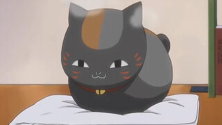 The black cat teacher is also cute