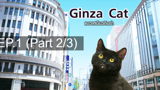 แนะนำ 😍 GINZA CAT แมวเหมียวกินซ่า ⭐ พากย์ไทย EP1_2