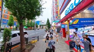 [4K] Akihabara Walking Tour Tokyo, Japan  2024! Insta 360 X4