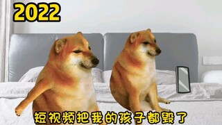 什么东西毁了孩子