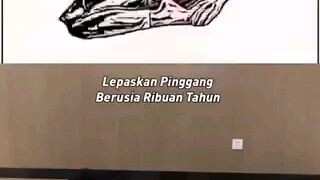 menghilangkan keluhan pinggang selama ini