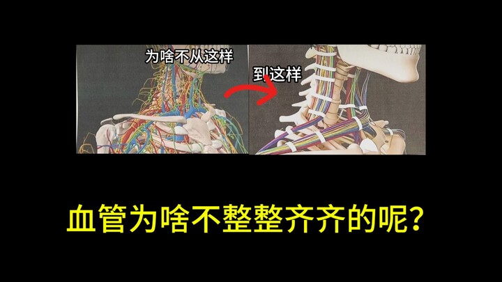 Khi Lỗ Tấn học y, anh cũng từng băn khoăn: Chẳng phải thẳng thắn một chút thì đẹp hơn sao? Thầy Phù 