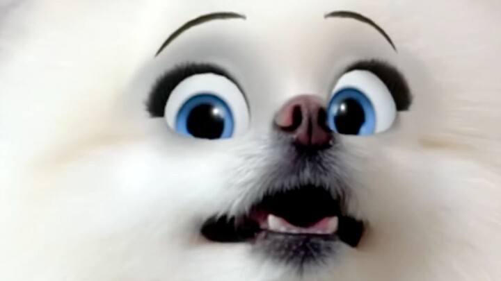 This super-simple homemade treat made the dog’s eyes light up in an instant.