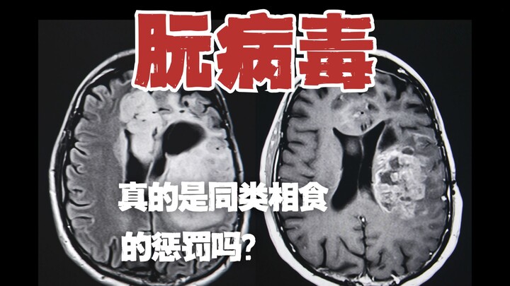 Apakah benar ada “larangan Tuhan” di kromosom manusia nomor 20?