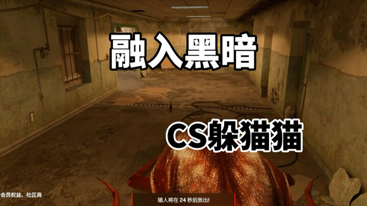 CS2 ซ่อนหา: นี่มันโมเดลอะไรกันนะ?