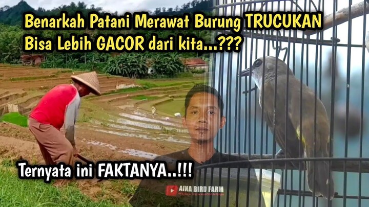 Inilah FAKTA bukan RAHASIA‼️ RAWATAN TRUCUKAN GACOR