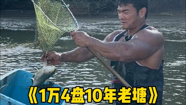 花14000包下一口十年老塘，据说有1吨鱼，看看这次能赚还是亏？