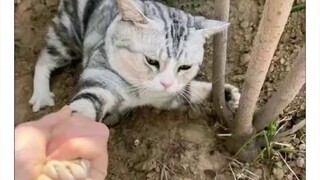 What weird things have you found?