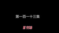 E 113