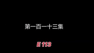 E 113