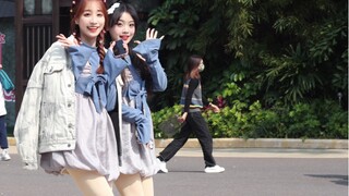 "Chimelong Girl Group" Oh Mo, lagu lama, lagu baru, rok tutu dan "Alocasia Love" (=ﾟωﾟ)ﾉ～Nanyin dire