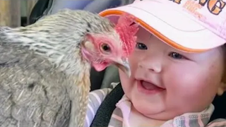 ทารกพบครั้งแรกกับสัตว์ล้มเหลว วีดีโอ - Funniest Home Videos