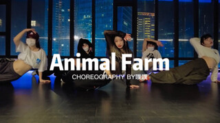 美丽坏女人 bibi新歌《Animal Farm》噗噗编舞