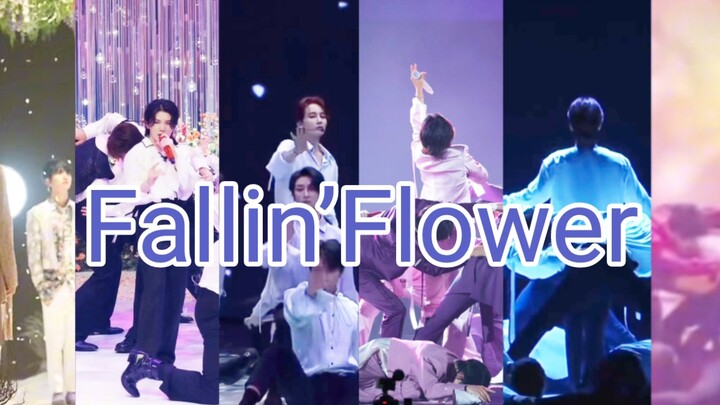 【Fallin'flower Prelude】สัมผัสสไตล์ที่แตกต่างของเพลงอินโทรดอกไม้ที่ร่วงหล่น