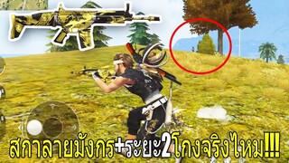 Free Fire ฟีฟายเอาชีวิตรอด ด้วยปืนสกาใหม่ลายมังกรทองเพิ่มระยะ2โกงหรือไก่!!สุ่มโคตรเยอะ ฟีฟาย