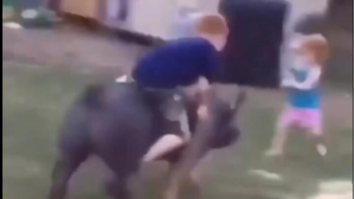 When I was a kid, my grandma and I lived in the village.