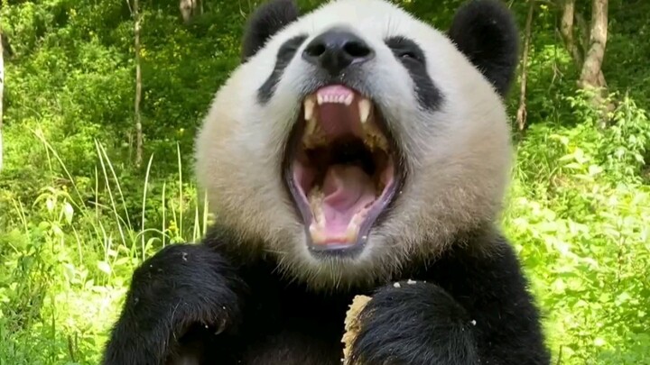 รวมคลิปพลาดสุดฮา