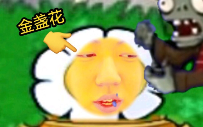 《 金  盏  花  日  记 》