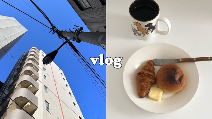 Vlog: Tokyo Life Diary 🍞 Grocery Shopping Galore 🧈 The Furniture-Assembly Black Hole 🧰 Finally, Home