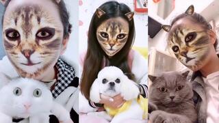 Cat and Dog Reaction to Cat Filter - Funny Cats & Dogs with Cat Filter
