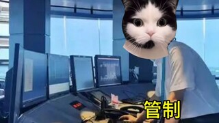 台风：算你跑的快