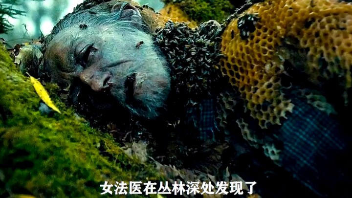Tổ ong xác do hàng nghìn con ong tạo nên