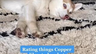 Rate his reaction with emojis