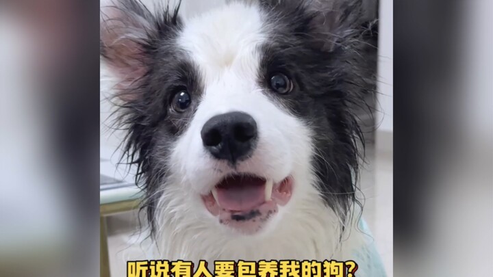 Aku nggak suka dengar omongan kayak gini.