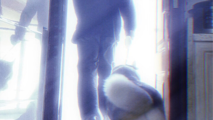 About the Things That Happened When I Traveled to Another World to Walk My Dog