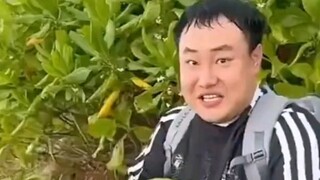 لا يمكن البقاء على قيد الحياة في "البقاء في البرية" بدون أقراص هضم الطعام!