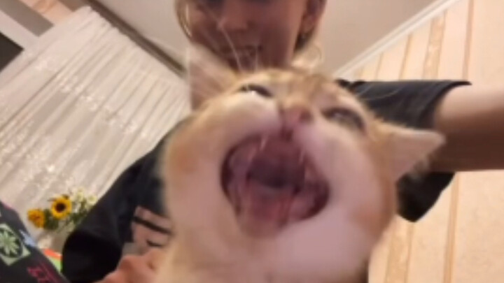 Đoạn cắt bí mật của “Niết Bàn” đã được phát hiện