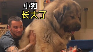 Such delightful animal videos!