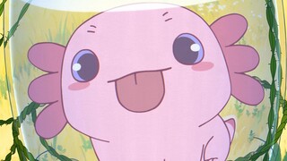 [Zhuazhua and Babao] Hello, give me a bite