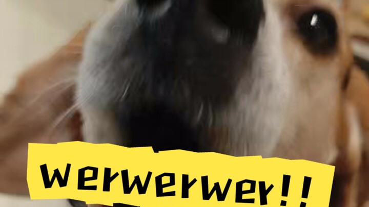 Why are you only getting back now!!! werwerwer!!