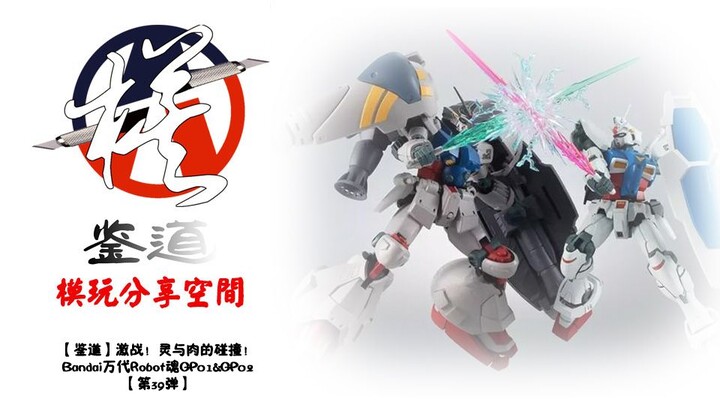 【鉴道】激战！灵与肉的碰撞！Bandai万代Robot魂GP01&GP02【第39弹】