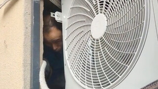 Dịch vụ một lần, dịch vụ sau bán hàng trọn đời!